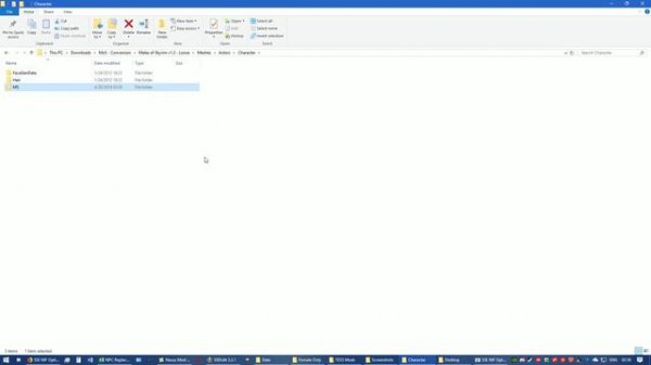 How to port Skyrim LE NPC Replacers using SSE NIF Optimizer