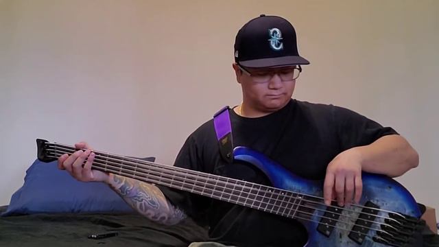 Hook, Line, and Sinner - Texas In July [Bass Cover] смотреть онлайн