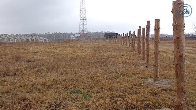 Муромцево_Животноводы из Поречья смотреть онлайн