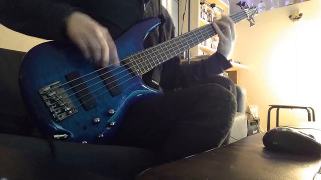 [Bass Playthrough] Bison BC - Stressed Elephant смотреть онлайн