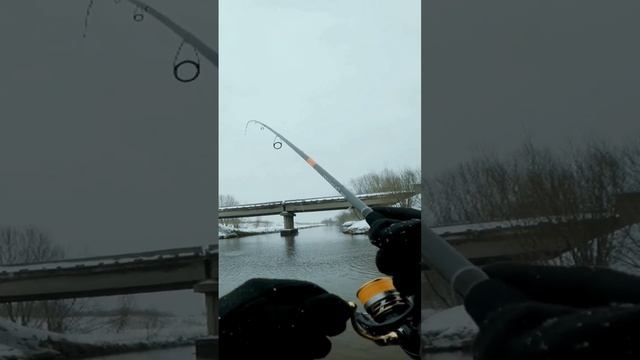 ГОЛОДНЫЙ ОКУНЬ! #рыбалка #fishing смотреть онлайн