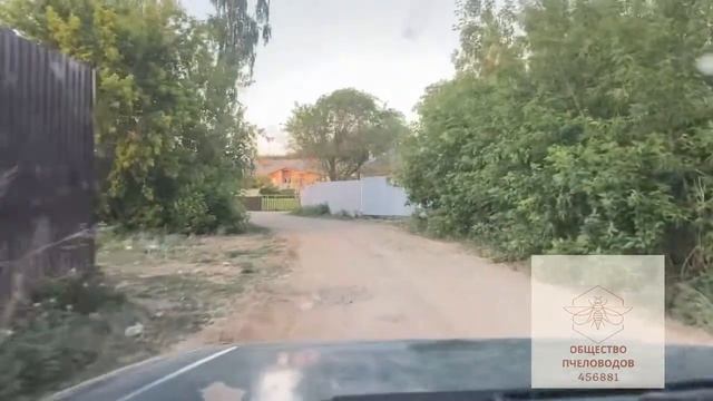 Сон на пчёлах - апидомик. Доставка домой. смотреть онлайн