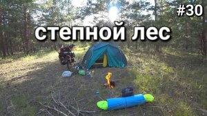 30. Россия-Казахстан, доехал до леса!