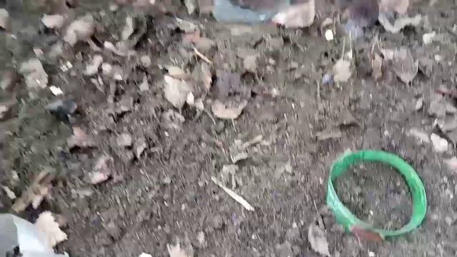 Высадка рассады перца_Посев Огурцов_Борьба с муравьями в огороде смотреть онлайн