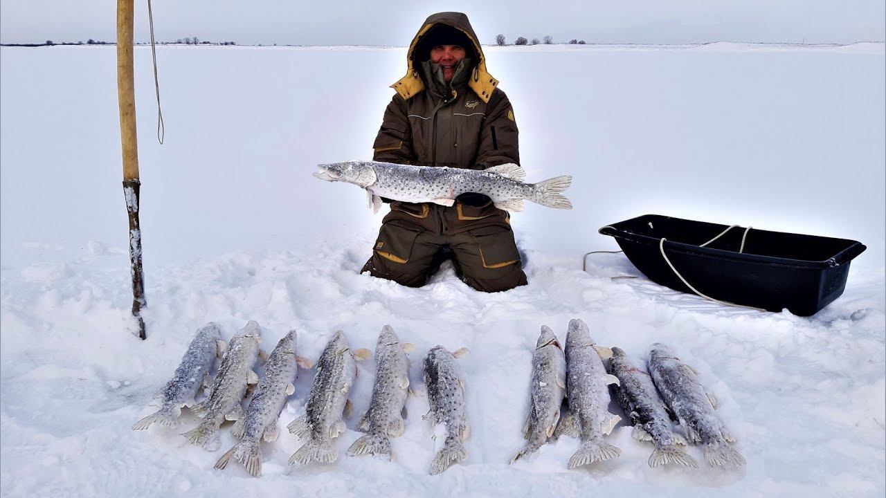 А говорили не клюёт! Зимняя рыбалка 2022 смотреть онлайн
