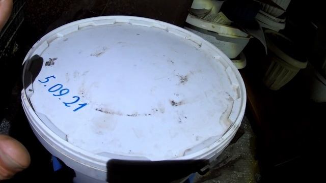 СУХОЙ ПОСОЛ РЫБЫ ! От А - до Я ! ОЧЕНЬ ВКУСНАЯ ДЕГУСТАЦИЯ !!! смотреть онлайн