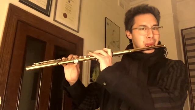 METRONOME PLAY ALONG!▪️’Allegro giocoso’ (Movt 3), Suite Modale - E Bloch (AMEB Grade 7, List C) смотреть онлайн
