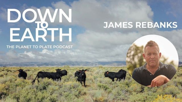 Episode 101: Stepping Back from the Abyss: Rebanks’ Return From Industrial to Traditional Farming смотреть онлайн