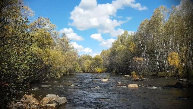 Цитаты! Александр Старостенко. смотреть онлайн