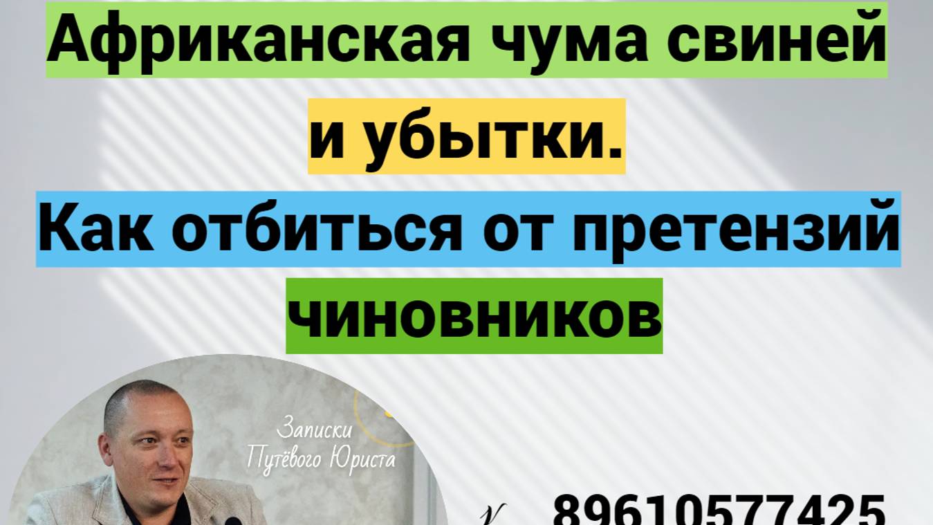 Проблемы фермеров из-за АЧС. Рассказываю на что обратить внимание. смотреть онлайн