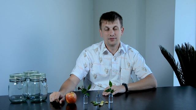 Агросекреты: Стробилуринсодержащие фунгициды смотреть онлайн