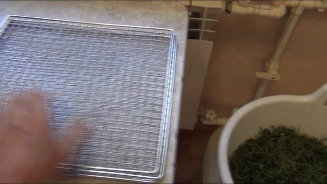 Сушим ТАРХУН и ИССОП смотреть онлайн