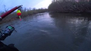 Ловля Симы на поплавок / Cherry Salmon