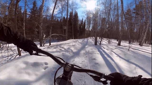 Окрестные тропы "глазами" GoPro Max смотреть онлайн