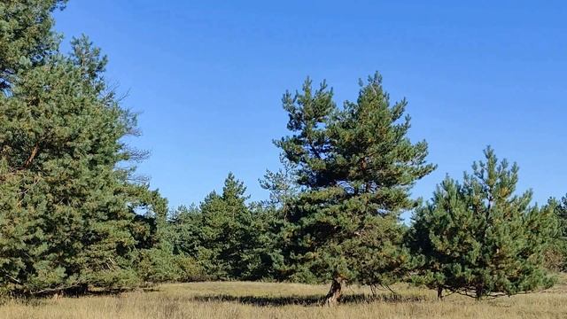 Женщины с этими именами наиболее склонны к изменам... Тайна имени. Судьба и характер. смотреть онлайн