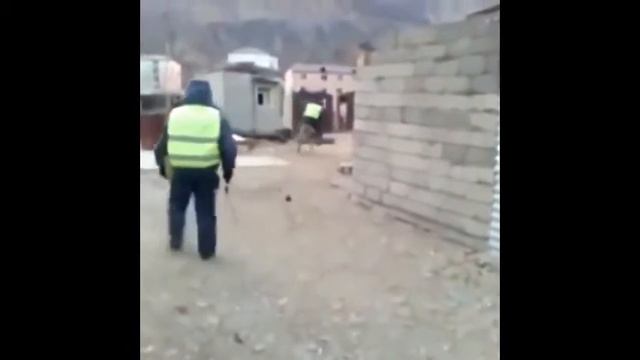 А я мигалочку включу... смотреть онлайн