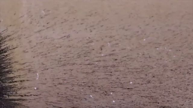 л2 Открытие силовых линий основы новой физики. Часть 2. смотреть онлайн