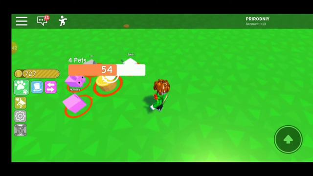 Доначу 15 робуксов играю роблокс симулятор питомцев смотреть онлайн