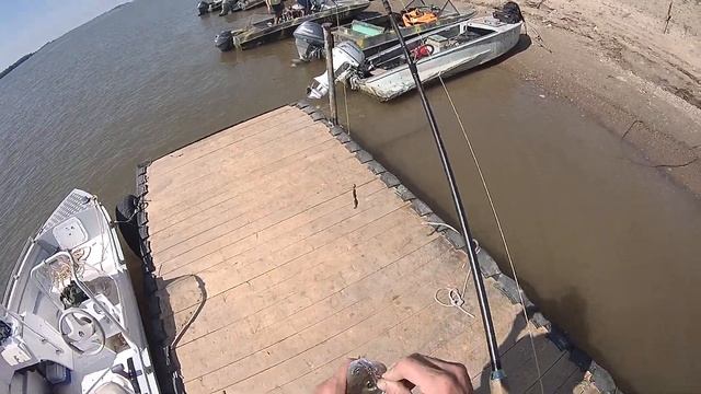 Летняя рыбалка с пирса Базы СЕЛИТРОН!!! смотреть онлайн