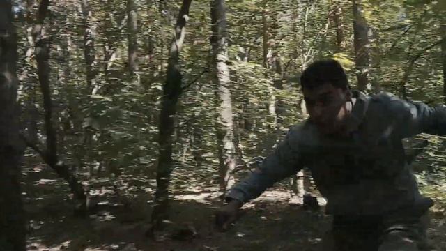 Соловей-разбойник 2 смотреть онлайн