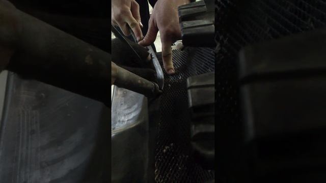 Крепление защитной сетки - Renault Symbol