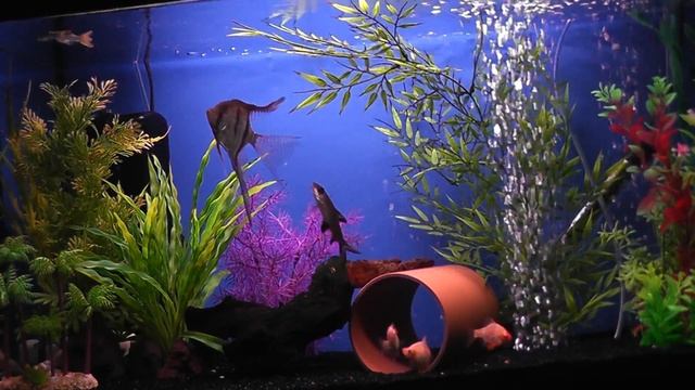 panasonic hc-v500 test video смотреть онлайн