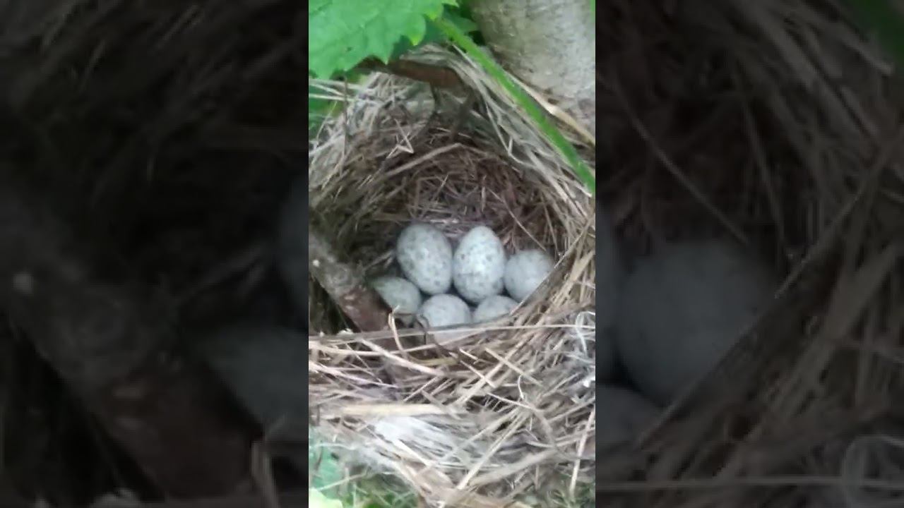 19 июня 2022 г. смотреть онлайн