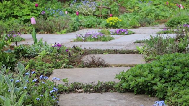 Spring Cottage Garden Development - April 2022 смотреть онлайн