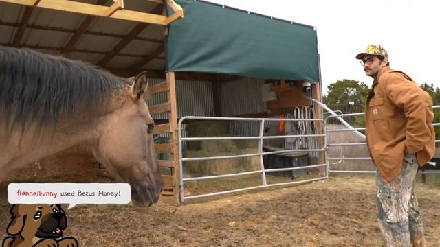 1/2 HasanAbi January 26, 2024 – IRL at the Alveus Animal Sanctuary with Maya Higa in Texas смотреть онлайн