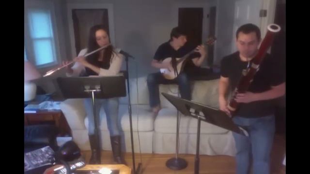 "Shadowland" Lion King- Instrumental cover: Bassoon, octave mando, and flute смотреть онлайн