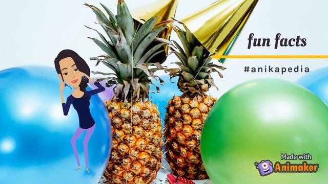 Petra in Jordan, Middle East | Seven wonders for Kids | history & facts смотреть онлайн