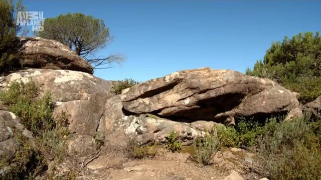 Дикая Франция 7 серия. Под палящим солнцем смотреть онлайн