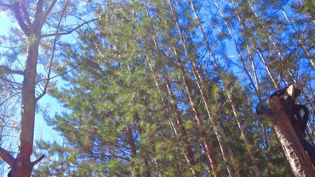 Лесная спортивная площадка \  Сломали турник