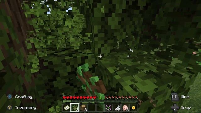 Minecraft Gameplay Xbox Series X 4K UHD смотреть онлайн