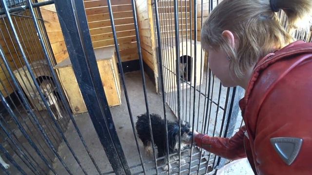 Что нам делать в сложившейся ситуации??? смотреть онлайн