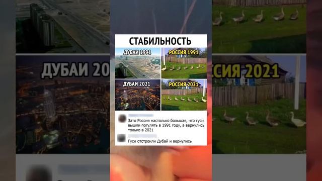 #short #shorts #мем #мемы #прикол #юмор #funny (15) смотреть онлайн