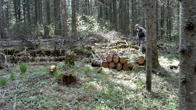 Лесная изба.Ставим окно и дверь # 4. смотреть онлайн