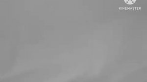 Все осенние анонсы (Карусель-Classic 1 сентября по 31 января 2023-2024 года)