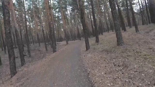 Начинаем бегать правильно, после лыжного сезона. смотреть онлайн