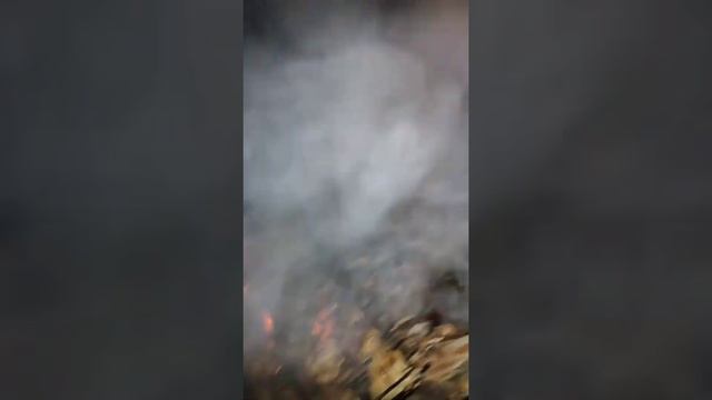 Поездка в гости до друзей из г. Городовиковск ❤️ смотреть онлайн