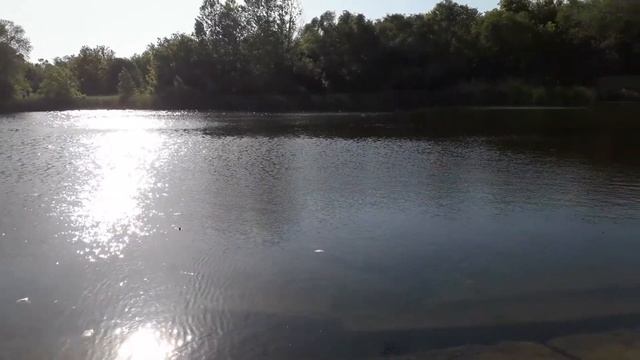 Т. А. Майстренко. Сказки волшебного озера. Сказка про выдру. смотреть онлайн
