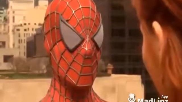 Озвучка, ДИКИЙ ПОНОС