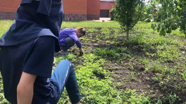 05.06.2022 Моркока будет смотреть онлайн