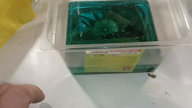 Снятие позолоты с плат электролитом и перекисью водорода ☝️Доработка метода ? смотреть онлайн