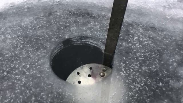 Lake Simcoe Ice Report January 29, 2021 смотреть онлайн