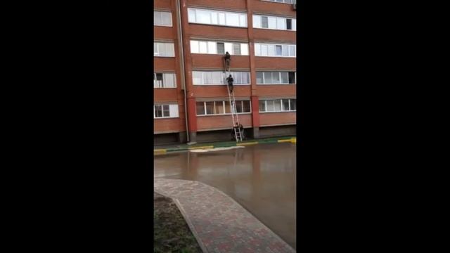 ОПГ с питоном смотреть онлайн