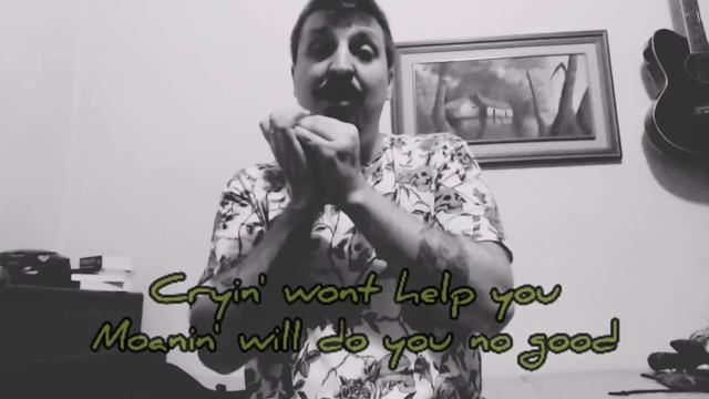 🎶 Bruno Zolini - When The Levee Breaks - Kansas Joe & Minnie Memphis / Led Zeppelin (Harmonica tab) смотреть онлайн