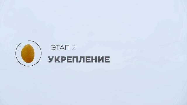 VICHY MINERAL 89 | Эксперимент в реальных условиях смотреть онлайн