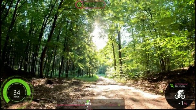 Sunshine INBIKE Wear with Trifox MTB Indoor Cycling Workout Garmin 4K смотреть онлайн