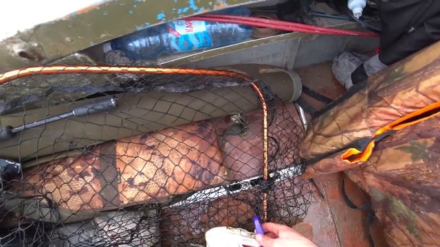 ЗДЕСЬ ЩУК МЕШКАМИ ЛОВЯТ.РЫБАЛКА НА РЕКЕ ТАЗ.ДЕНЬ ВТОРОЙ.РАЗДАЧА. смотреть онлайн